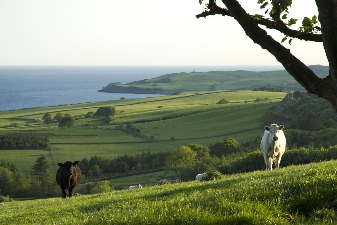 Orroland Holiday Cottages Dundrennan Extérieur photo