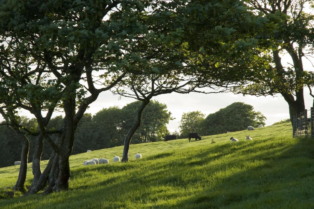 Orroland Holiday Cottages Dundrennan Extérieur photo